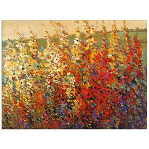 Artland Glasbild "Feld mit Herbstblumen I", Blumenwiese, (1 St.)