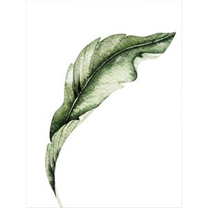 Wall-Art Poster Kvilis - Banana Leaf 02 Poster, artprint, wandposter