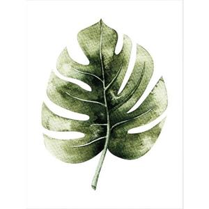 Wall-Art Poster Kvilis - gatenplant Leaf Poster, artprint, wandposter