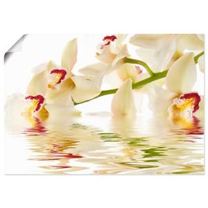 Artland Artprint Witte orchidee met waterreflectie als artprint op linnen, muursticker of poster in verschillende maten