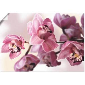 Artland Artprint Roze orchidee als artprint van aluminium, artprint op linnen, muursticker of poster in verschillende maten