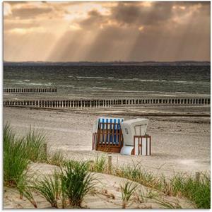 Artland Print op glas Zwarte struik strand op eiland Poel