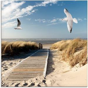 Artland Print op glas Noordzeestrand op Langeoog met meeuwen in verschillende maten