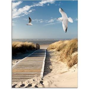 Artland Print op glas Noordzeestrand op Langeoog met meeuwen in verschillende maten