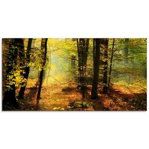 Artland Print op glas Herfstlicht in het bos in verschillende maten