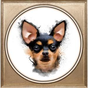 Queence Artprint op acrylglas Chihuahua