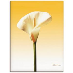 Artland Artprint Zonneschijn calla II als artprint van aluminium, artprint op linnen, muursticker of poster in verschillende maten