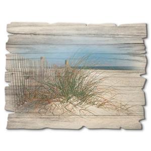 Artland Artprint op hout Mooie duinen met grassen en hek