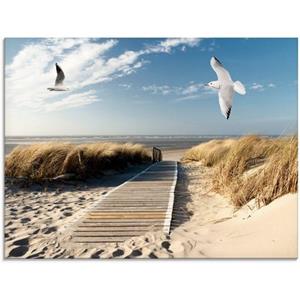 Artland Print op glas Noordzeestrand op Langeoog met meeuwen in verschillende maten