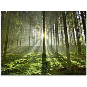 Artland Glasbild "Wald im Gegenlicht", Wald, (1 St.)