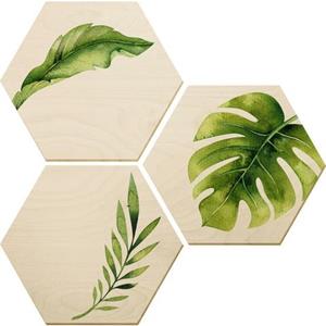 Wall-Art Artprint op hout Kvilis -jungle 04 (set)