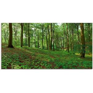 Artland Glasbild "Panorama von einem grünen Sommerwald", Wald, (1 St.)