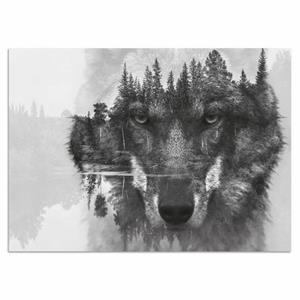 Home affaire Artprint op acrylglas Wolf 60/40 cm