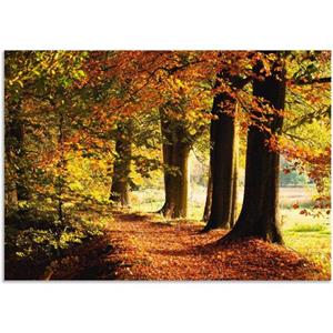 Artland Wandbild "Herbstfarben", Bäume, (1 St.), als Alubild, Outdoorbild, Leinwandbild in verschied. Größen