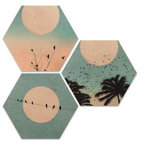 Wall-Art Artprint op hout Hexagon artprint op hout zonsopkomst (set, 3 stuks)