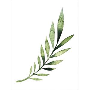 Wall-Art Poster Kvilis - palm Leaf Poster, artprint, wandposter