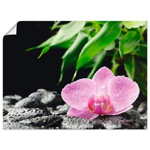 Artland Artprint Roze orchidee op zwarte zen stenen als artprint van aluminium, artprint op linnen, muursticker of poster in verschillende maten