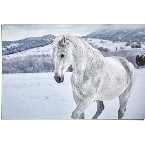 Reinders! Poster Paard in de sneeuw