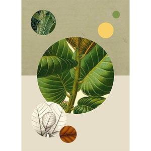 Komar Poster "Green Structure", Pflanzen-Blätter, Höhe: 40cm