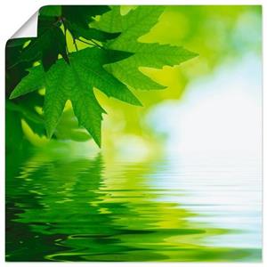 Artland Artprint Groene blaadjes reflecteren in het water als artprint van aluminium, artprint op linnen, muursticker of poster in verschillende maten