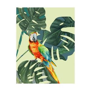 Komar Poster "Green-Winged Macaw", (1 St.)