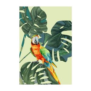 Komar Poster Green-Winged Macaw (1 stuk)