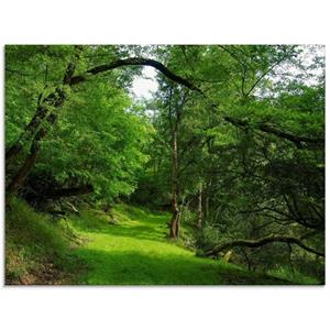 Artland Glasbild "Grüner Weg durch den Wald", Wald, (1 St.)