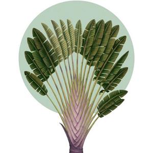 Komar Artprint Botanical Garden Pinnate Palm (1 stuk)