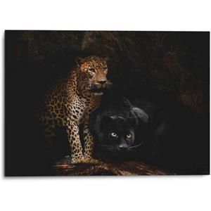 Reinders! Reinders Wandbild "Aluminium Wandbild Raubtiere Panther - Cougar - Katzen - Höhle", Wildtiere, (1 St.)