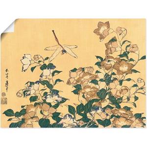 Artland Artprint Chinese Campanula en libelle als artprint op linnen, muursticker of poster in verschillende maten