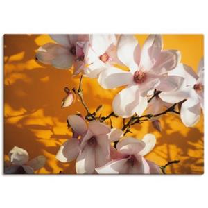 Artland Artprint Fotocollage magnolia als artprint van aluminium, artprint op linnen, muursticker of poster in verschillende maten