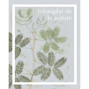 Komar Wandbild "Triomphe de la nature", (1 St.), Deutsches Premium-Poster Fotopapier mit seidenmatter Oberfläche und hoher Lichtbeständigkeit. Für fotorealistische Drucke mit ge