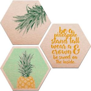 Wall-Art Aluminium-dibondprint Ananas (set)