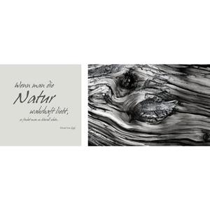 queence Leinwandbild "Natur", (Set), 2er-Set