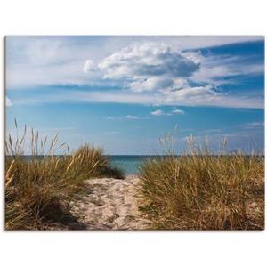 Artland Artprint Oostzeestrand in Denemarken als artprint van aluminium, artprint op linnen, muursticker of poster in verschillende maten