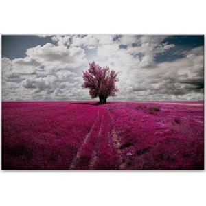 Wall-Art Aluminium-dibondprint The Lonely Tree in 2 maten