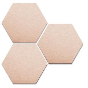 Wall-Art Metalen artprint Set van 3 hexagon koperkleur artprint (set, 3 stuks)