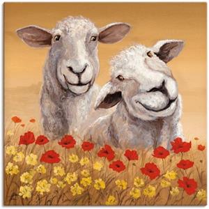 Artland Artprint Schapen als artprint van aluminium, artprint op linnen, muursticker of poster in verschillende maten