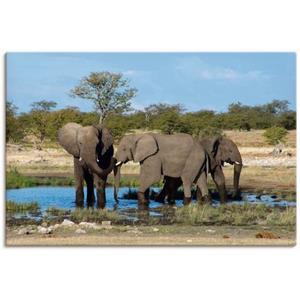 Artland Artprint Afrikaanse olifant EtoshaNationalpark als artprint van aluminium, artprint op linnen, muursticker of poster in verschillende maten