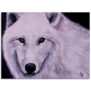 Artland Print op glas Witte wolf in verschillende maten