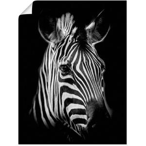 Artland Artprint Zebra als artprint van aluminium, artprint op linnen, muursticker of poster in verschillende maten