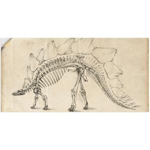 Artland Artprint Dinosaurus leer III als artprint van aluminium, artprint op linnen, muursticker of poster in verschillende maten