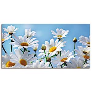 Artland Artprint Bloemen - margrieten als artprint van aluminium, artprint op linnen, muursticker of poster in verschillende maten