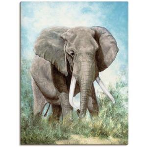 Artland Artprint Olifant als artprint van aluminium, artprint op linnen, muursticker of poster in verschillende maten