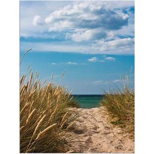 Artland Artprint Pad naar het strand aan de Oostzee - Denemarken 9 als artprint van aluminium, artprint op linnen, muursticker of poster in verschillende maten