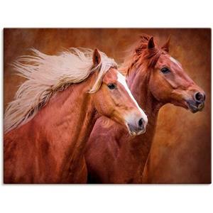 Artland Artprint Raszuivere paarden I als artprint van aluminium, artprint op linnen, muursticker of poster in verschillende maten