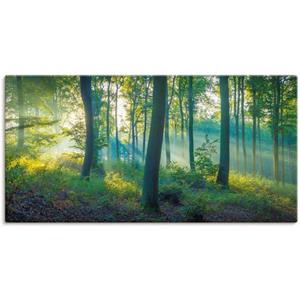 Artland Wandbild "Wald Panorama", Waldbilder, (1 St.)