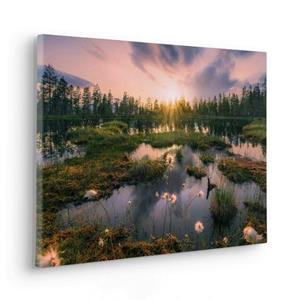 Komar Artprint op linnen Keilrahmenbild - Gloomy Swamps - Größe 60 x 40 cm Duits kwaliteitsvliesmateriaal (155 g/m²) (set, 1 stuk)