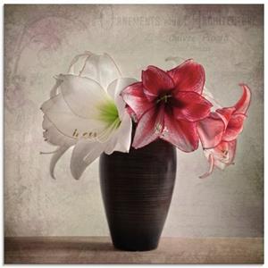 Artland Print op glas Amaryllis vintage I in verschillende maten