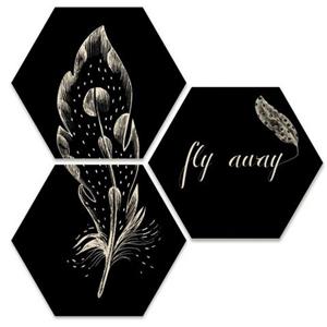 Wall-Art Meerdelige artprint Hexagon set - Fly away veer (set, 3 stuks)